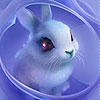 Пятнашки: Милый кролик (Blue pretty rabbit slide puzzle)