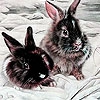 Пазл: Кролики на снегу (Gray rabbits in snow puzzle)