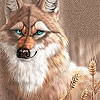 Пятнашки: Лисичка (Fox blue eyes slide puzzle)