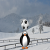 Чеканка с пингвином (Penguin Soccer)