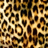 Пазл: Леопард (Jigsaw: Leopard Pattern)