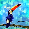 Пятнашки: Цветастая птичка (Colored beaked bird slide puzzle)