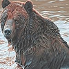 Пазл: Медведь на озере (Dun bear in the lake puzzle)