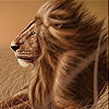 Пятнашки: Лев (Big brave lion slide puzzle)