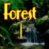 Охота за сокровищами в волшебном лесу (Treasure Hunt Forest)