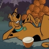Скуби Ду - Выжить на острове (Scooby Doo - Survive the Island)