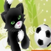 Футбол кошек и собак (Pet soccer)