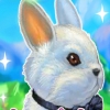 Мой дорогой кролик (My dear rabbit)