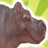 Голодный бегемот (Hungry Hippo)