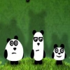 3 панды (3 pandas)