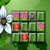 Цветы на память (Flower memory match)